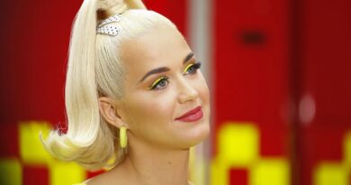 Katy Perry Net worth In rupees