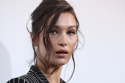 Bella hadid Net Worth 2022 .