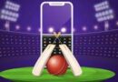 Tips for choosing the best cricket betting platforms