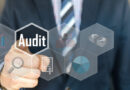 Audit Management Services