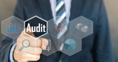 Audit Management Services