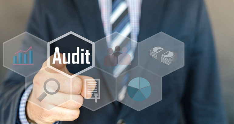 Audit Management Services